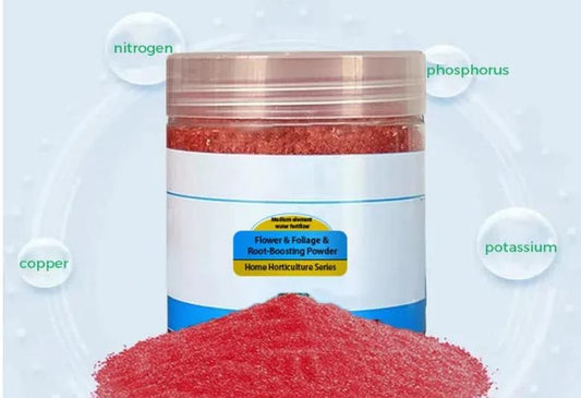 Root Boosting Powder 400 gm Pack of 2