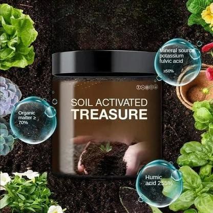 Treasure Premium Soil Activator 200gm (Pack of 2)