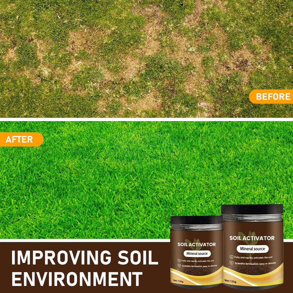 Treasure Premium Soil Activator 200gm (Pack of 2)